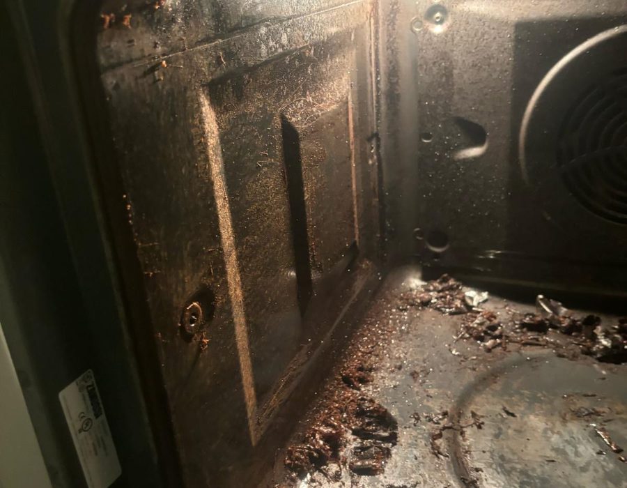 Oven before cleaning - view 4